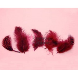 Pene pentru decor unghii Visinii, 5 bucati